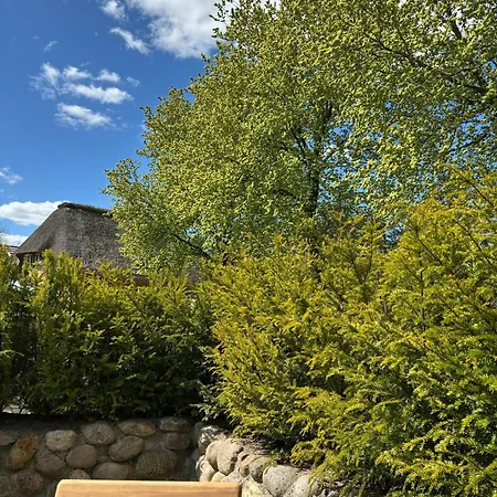 Flat In Historic In *